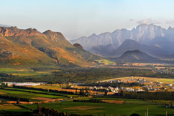 Stellenbosch, Franschhoek and Paarl Winelands Full Day Trip from Cape Town - Three Winelands towns without renting a car