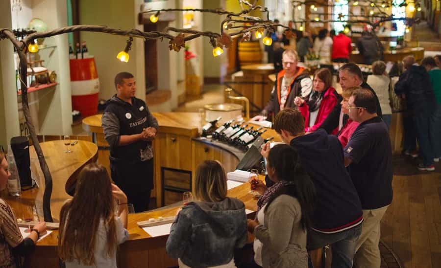 Stellenbosch: Half-Day Wine Tour - What $55 buys you in five hours