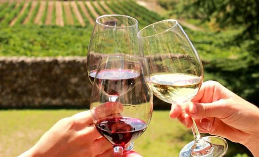 Stellenbosch: Half-Day Wine Tour - Second vineyard: biltong, chocolate, and a different style