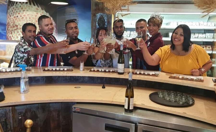 Stellenbosch: Half-Day Wine Tour - Stellenbosch town: a 30-minute taste, not a full visit