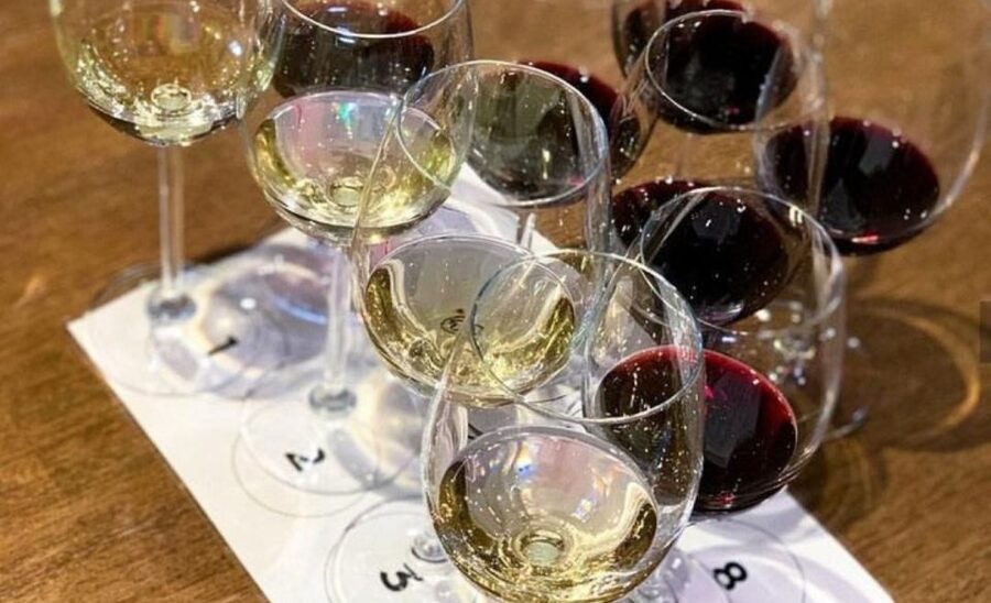 Stellenbosch: Half-Day Wine Tour - Morning or afternoon departure?