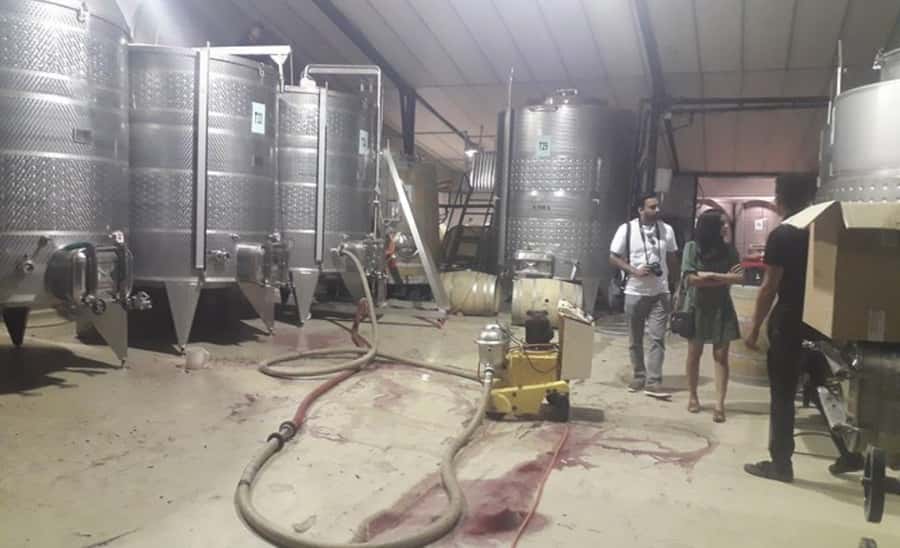 Stellenbosch: Half-Day Wine Tour - Who should book this Stellenbosch tour?