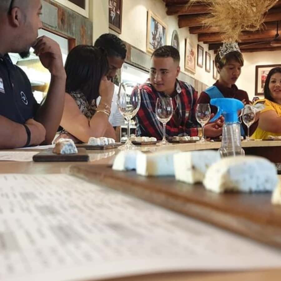 Stellenbosch: Half-Day Wine Tour - First vineyard: six wines, cheese, and a cellar visit