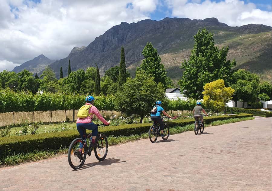Stellenbosch: Historical Bike Tour & Wine Tasting - Bike quality, comfort, and practical details