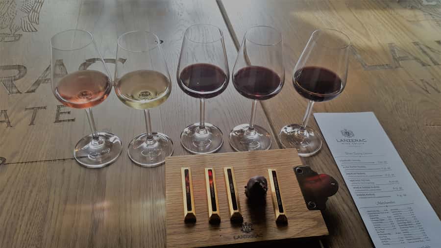 Stellenbosch: Historical Bike Tour & Wine Tasting - My verdict on this four-hour wine and cycling outing