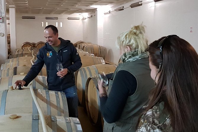 Stellenbosch Valley. Private wine tour with winemaker in Swedish or English. - Lunch in the Winelands
