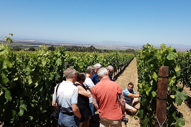 Stellenbosch Valley. Private wine tour with winemaker in Swedish or English. - Three Estates, Three Ways to Make Wine