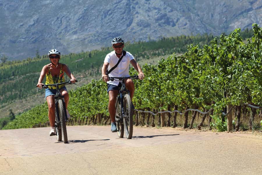 Stellenbosch: Wine Farm E-Bike Guided Tour - Why an e-bike is the right way to see Stellenbosch