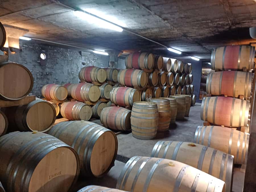 Stellenbosch wine tour, all inclusive of lunch and tastings. - Lunch brings local food into the wine day