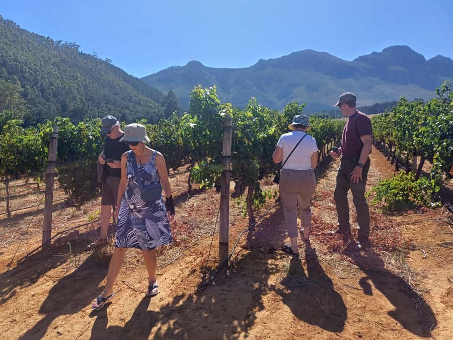 Stellenbosch wine tour, all inclusive of lunch and tastings. - How to make the most of the day