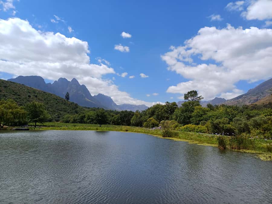 Stellenbosch wine tour, all inclusive of lunch and tastings. - Cellars, vineyards, and the making of the wine