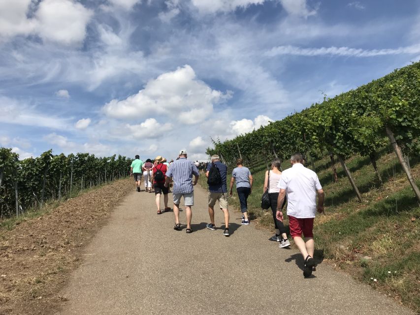 Stuttgart: Guided Wine Walk & Wine Tasting - Two tastings and a local snack
