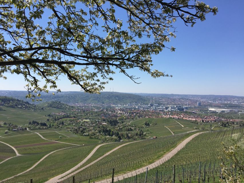 Stuttgart: Guided Wine Walk & Wine Tasting - Who will enjoy this Stuttgart wine walk