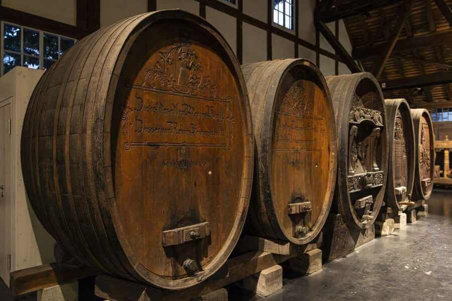 Stuttgart: Stuttgart Wine Museum Wine Tasting - Who should book this tasting?