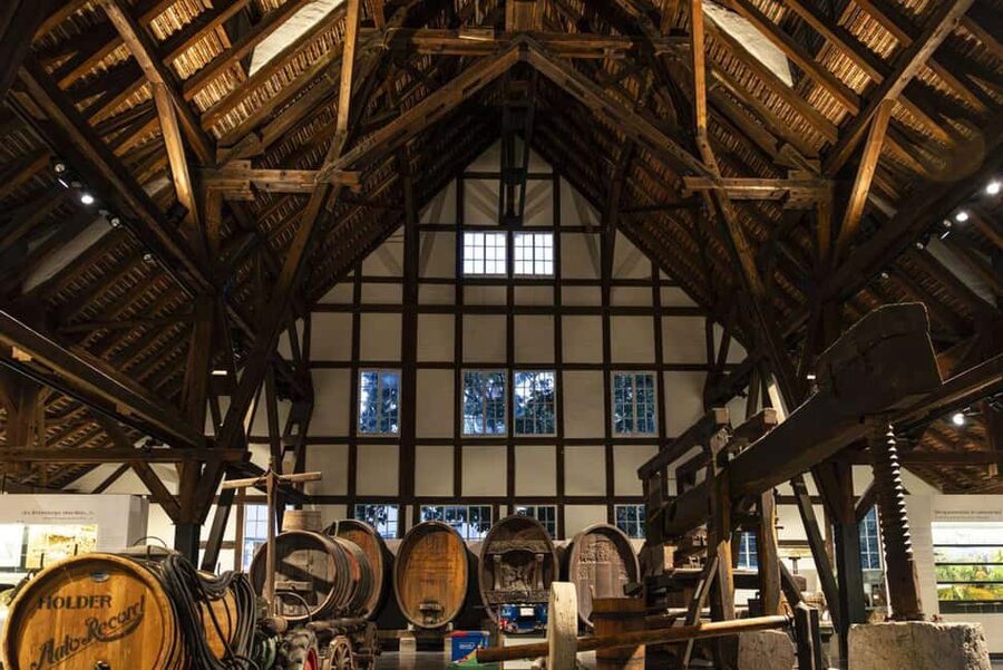 Stuttgart: Stuttgart Wine Museum Wine Tasting - Booking flexibility and timing