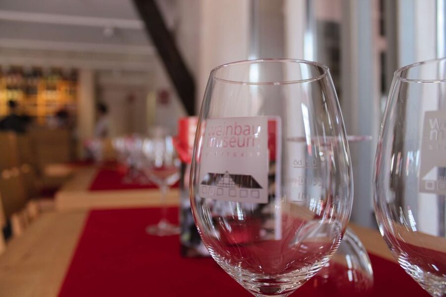 Stuttgart: Stuttgart Wine Museum Wine Tasting - What happens when you arrive at the museum