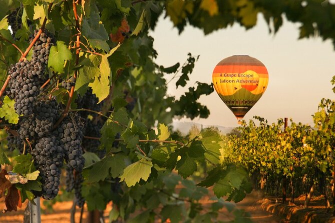 Sunrise Hot Air Balloon Flight over the Temecula Wine Country - Sunrise above Temecula Wine Country