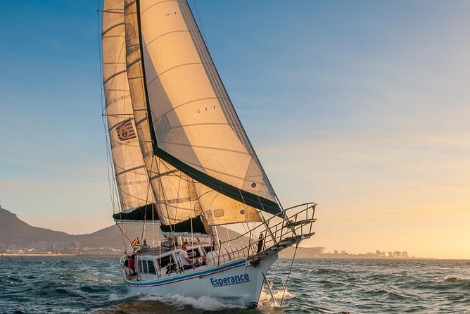 Sunset Champagne Cruise from Cape Town - Sparkling wine and the onboard mood