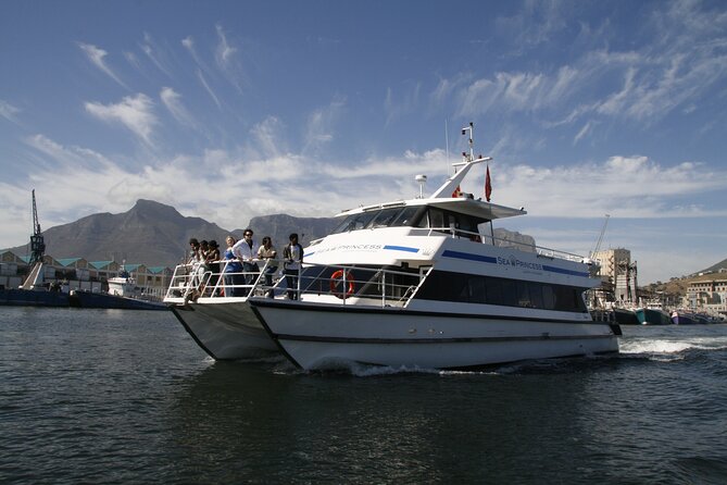Sunset Champagne Cruise from Cape Town - Looking for dolphins, whales, seals, and penguins