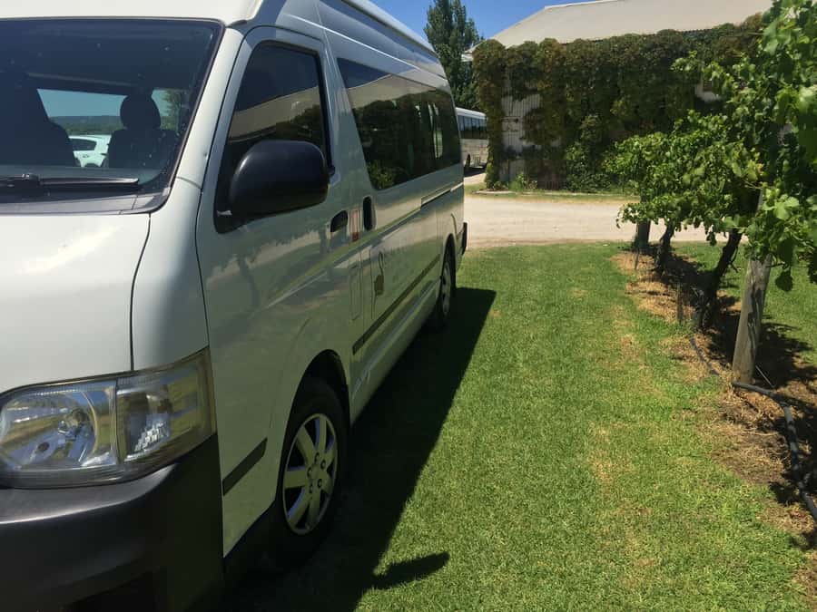 Swan Valley: Full-Day Wine Tour with Lunch - What the guide adds to the day