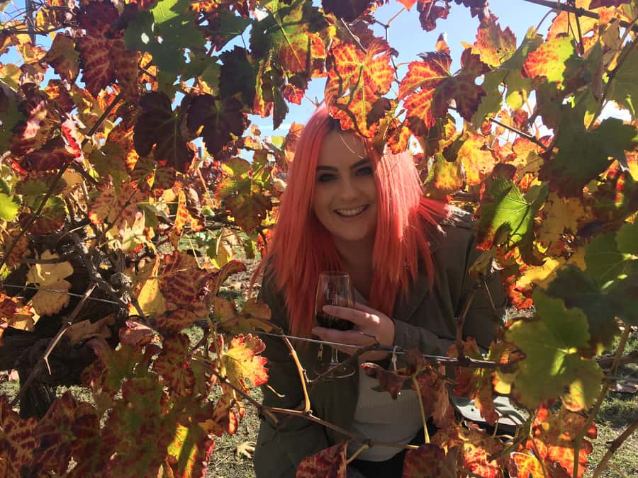 Swan Valley Full-Day Winery Experience with Lunch from Perth - What the $112 price really includes