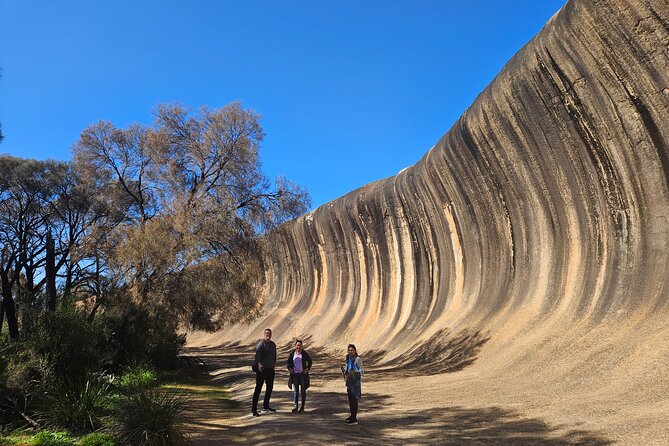 Swan Valley Wine Cruise - Comfort, timing, and practical planning