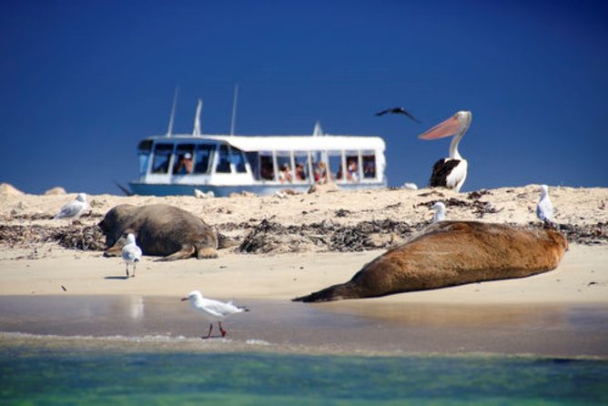 Swan Valley Wine Cruise - Who will enjoy this cruise most