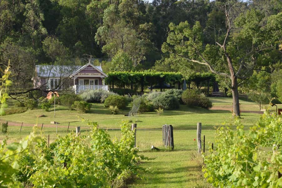 Sydney: Chef-Led Hunter Valley Food & Wine Tour - Chef Jimmy turns winery visits into a proper meal