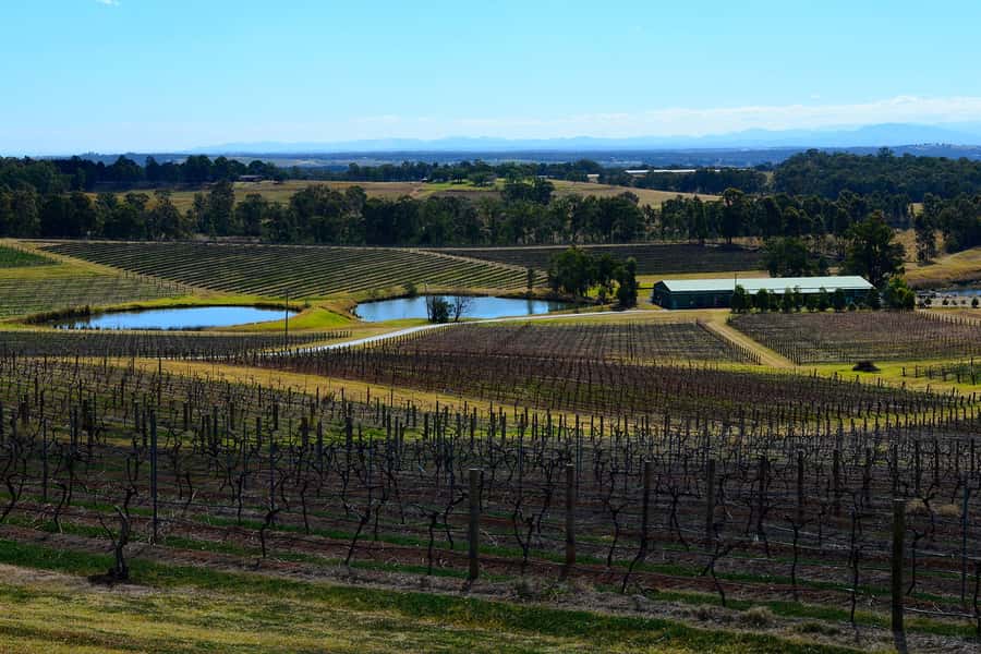 Sydney: Chef-Led Hunter Valley Food & Wine Tour - The Hawkesbury River breakfast gives the morning room to breathe