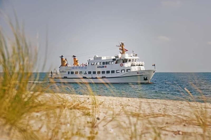 Sylt: Shell safari with boat | incl. Mussel tasting & 1 glass of wine - Setting out from Hörnum on the Adler VI