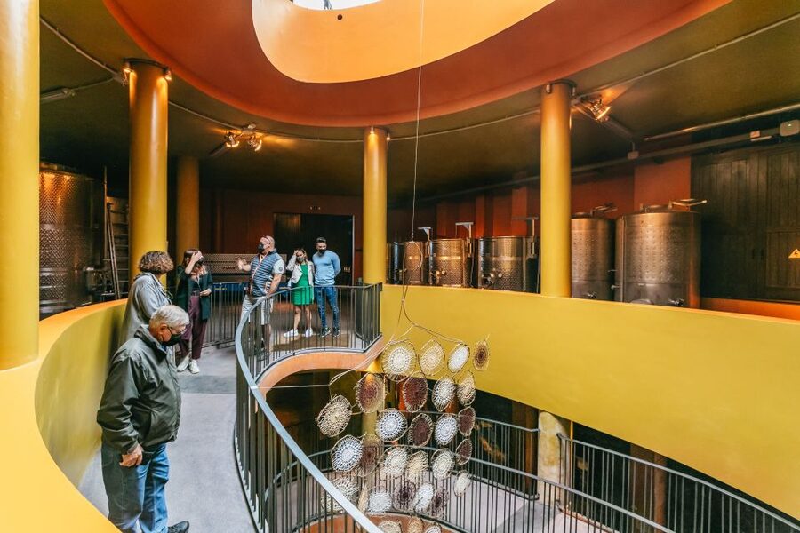 Tacoronte: Guided Winery Tour with Wine and Cheese Tastings - Is $41 a fair price?