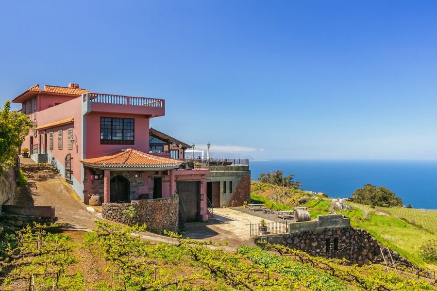 Tacoronte: Guided Winery Tour with Wine and Cheese Tastings - Why Bodegas Monje is worth your time