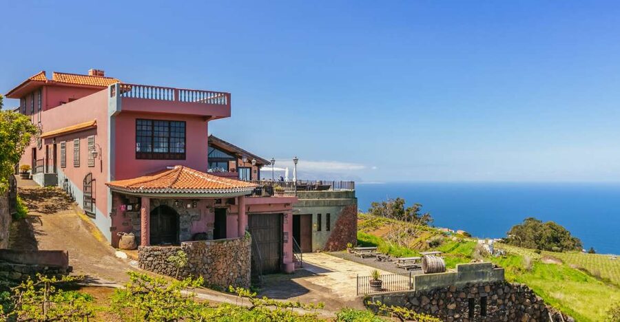 Tacoronte: Guided Winery Tour with Wine and Cheese Tastings - What volcanic soil adds to Canary wine