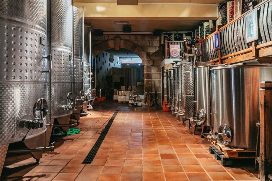 Tacoronte: Guided Winery Tour with Wine and Cheese Tastings - How the timing and language affect the visit