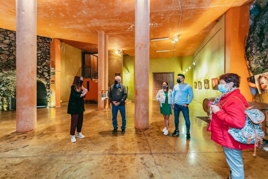 Tacoronte: Guided Winery Tour with Wine and Cheese Tastings - Getting there from Santa Cruz and planning your day