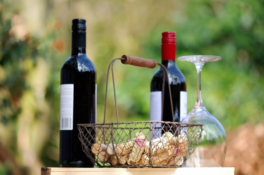 Taormina: Guided Etna Wine Tasting Half-Day Tour - Price, comfort, and who should book