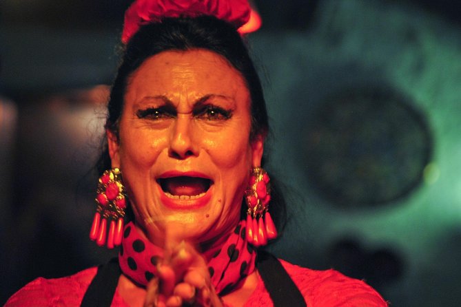 Tapas, Wine and Flamenco Private Tour in Barcelona - Who should book this experience