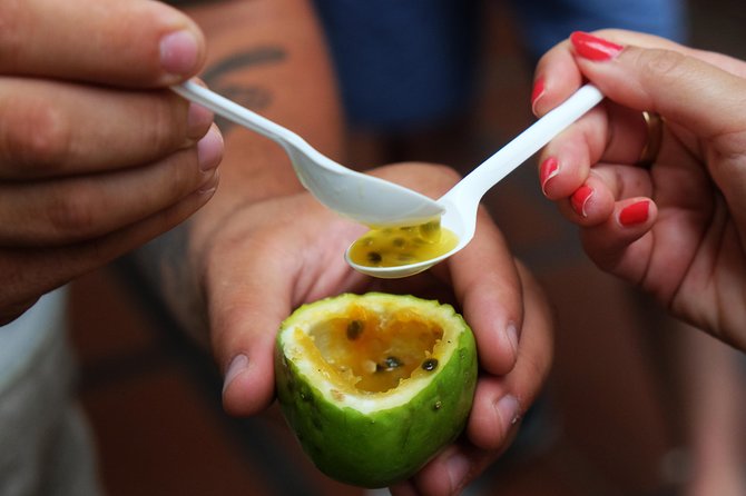 Taste Funchal: food, wine & cultural tour - Why a Funchal food walk makes sense early in your stay