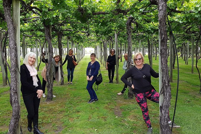 Taste the Valley Wine Tour in Marlborough with Wine Tasting - Is €90.05 a fair price?