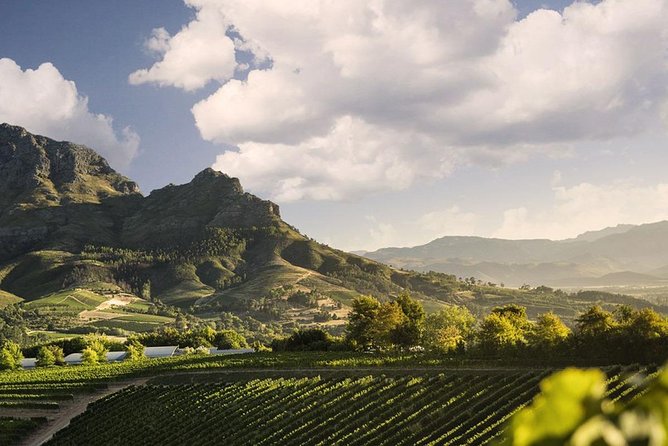 Taste + Tram the Winelands Tour: Franschhoek, Stellenbosch, Paarl - Muratie brings history and character to the final tasting