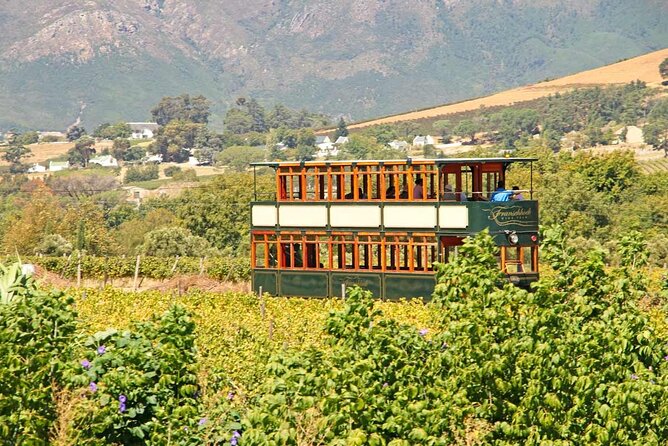 Taste + Tram the Winelands Tour: Franschhoek, Stellenbosch, Paarl - Who should book this Winelands day?