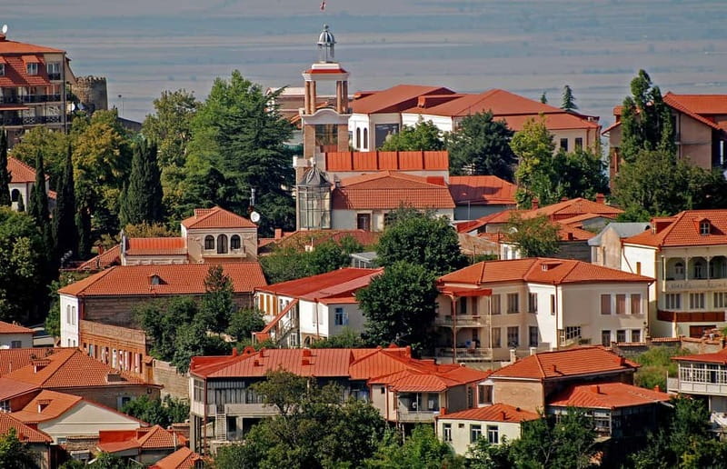 Tbilisi: Kakheti Region,Signaghi Tour with 9 Wine Tastings - The guide can make or break a packed route