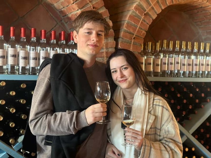 Tbilisi: Kakheti Wine Region Tour with 10 Wine Tastings - Meeting the group at the Big Bicycle Monument