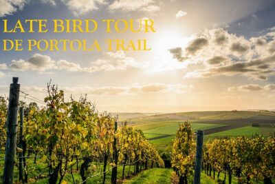 Temecula’s Premier Wine Tasting Tour