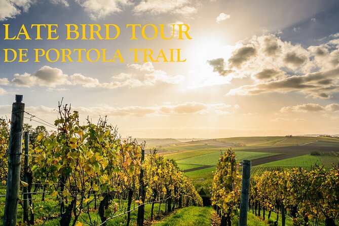 Temecula's Premier Wine Tasting Tour - Lunch at Maurice Car’rie or Oak Mountain