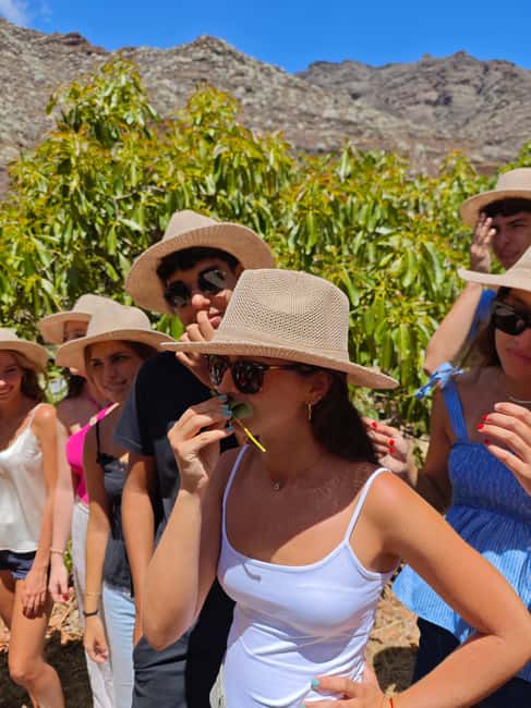 Tenerife: Avocado Farm Tour with Tasting Menu & Wine - Meeting the host and learning the valley’s story