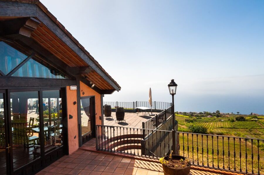 Tenerife: Full-Day Gastronomy and Wine Tour - Casa del Vino and the cheese pairing