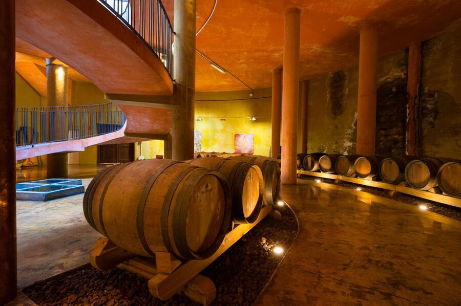 Tenerife: Full-Day Gastronomy and Wine Tour - Timing, comfort, and the return journey