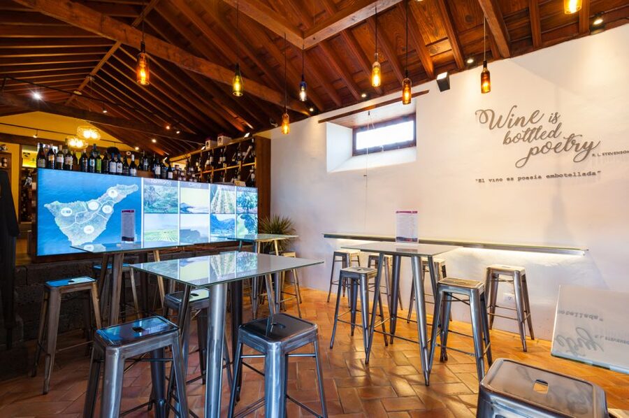 Tenerife: Full-Day Gastronomy and Wine Tour - Is $97 good value?
