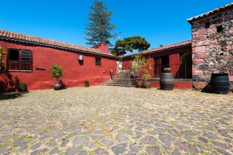 Tenerife: Full-Day Gastronomy and Wine Tour - Who should book this day out?